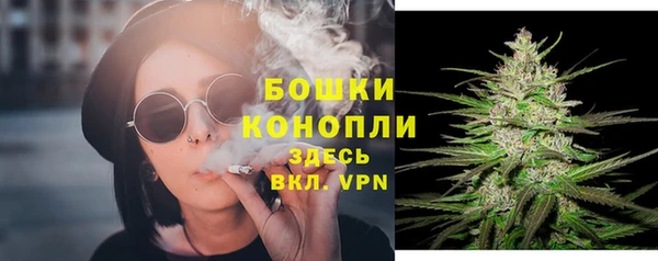 крисы Нефтегорск
