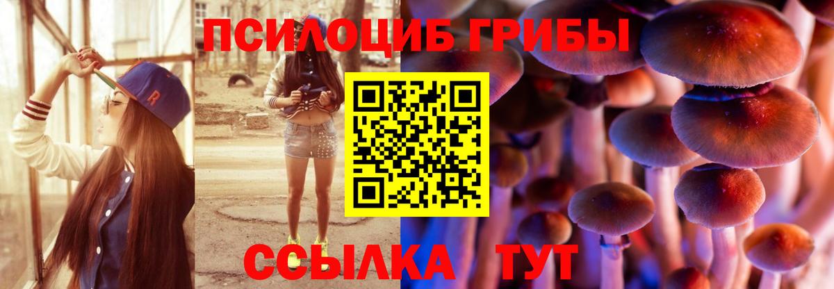 Галлюциногенные грибы MAGIC MUSHROOMS Людиново