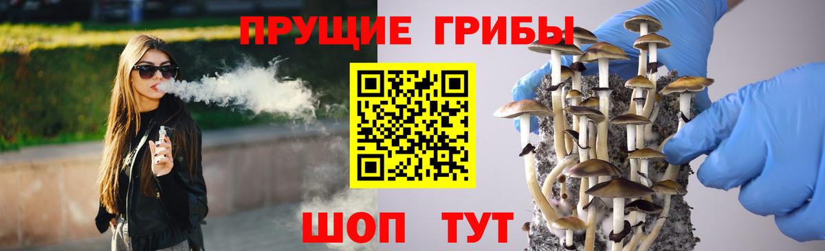 Людиново  Псилоцибиновые грибы Cubensis  Вход с VPN  Псилоцибиновые грибы мицелий 